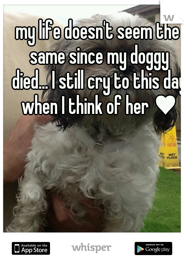 my life doesn't seem the same since my doggy died... I still cry to this day when I think of her ♥