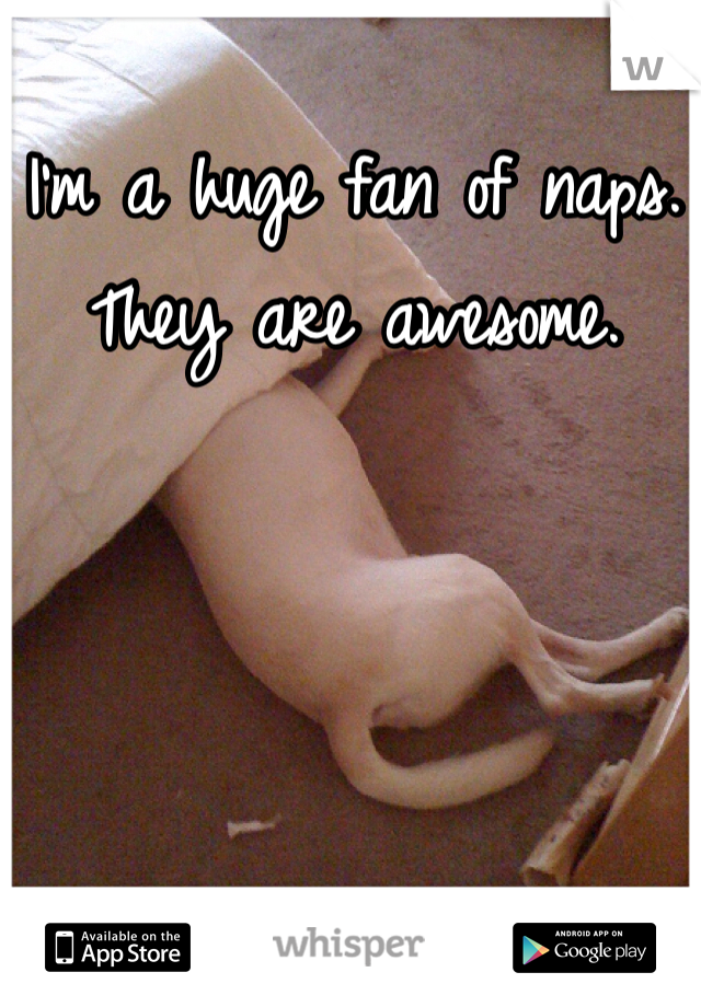 I'm a huge fan of naps. They are awesome. 