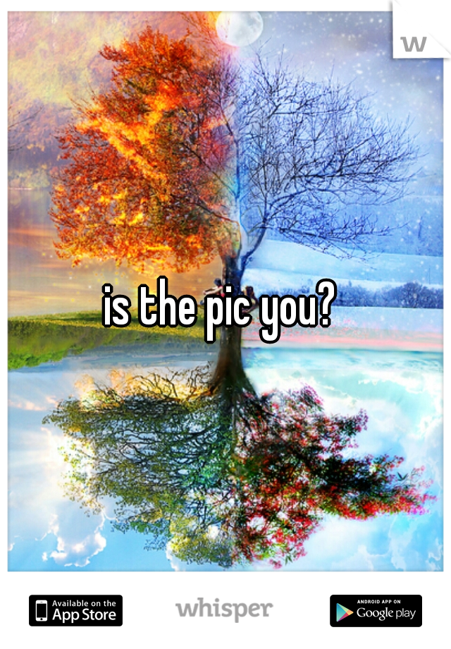 is the pic you? 