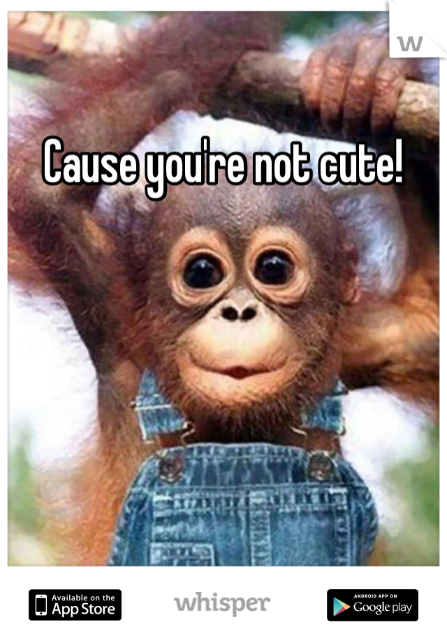 Cause you're not cute!