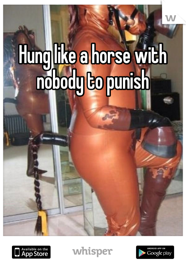 Hung like a horse with nobody to punish