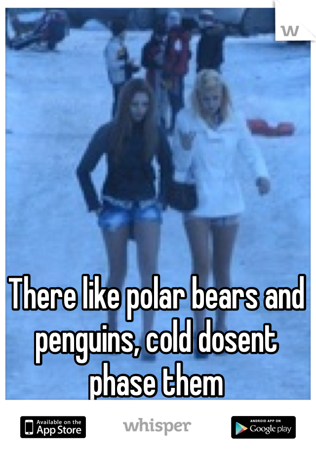 There like polar bears and penguins, cold dosent phase them