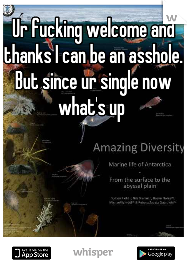 Ur fucking welcome and thanks I can be an asshole.  But since ur single now what's up 