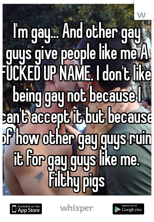 I'm gay... And other gay guys give people like me A FUCKED UP NAME. I don't like being gay not because I can't accept it but because of how other gay guys ruin it for gay guys like me. Filthy pigs  