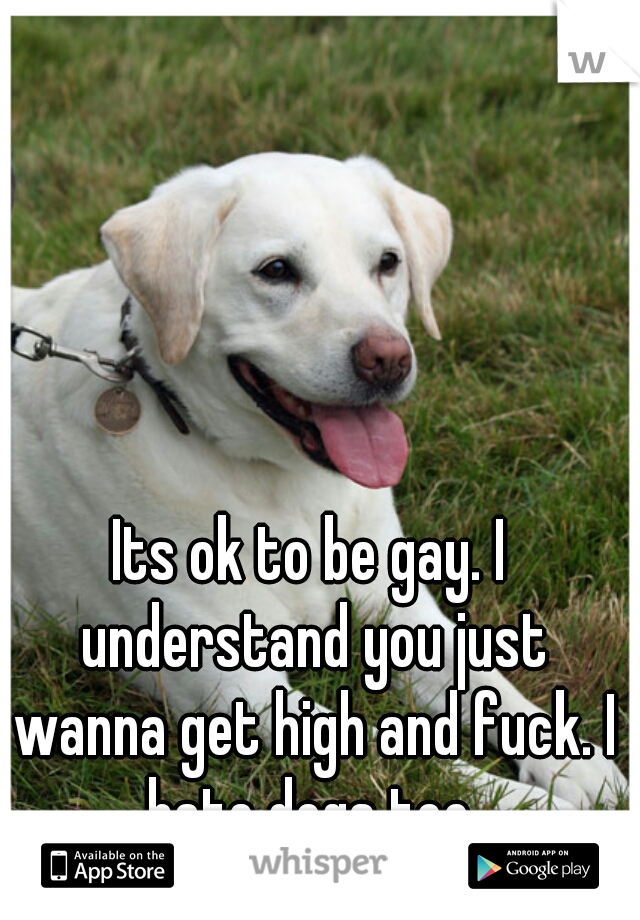 Its ok to be gay. I understand you just wanna get high and fuck. I hate dogs too.