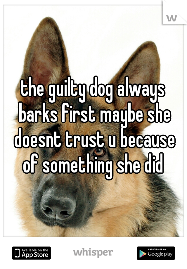 the guilty dog always barks first maybe she doesnt trust u because of something she did 