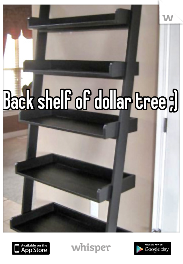 Back shelf of dollar tree ;)