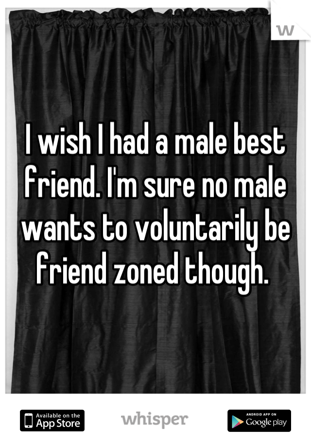 I wish I had a male best friend. I'm sure no male wants to voluntarily be friend zoned though. 