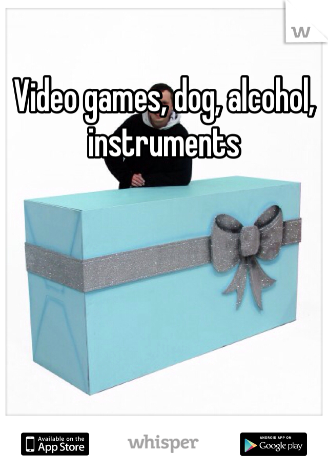 Video games, dog, alcohol, instruments