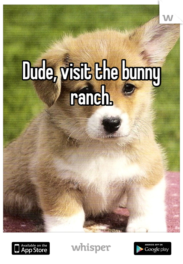 Dude, visit the bunny ranch.