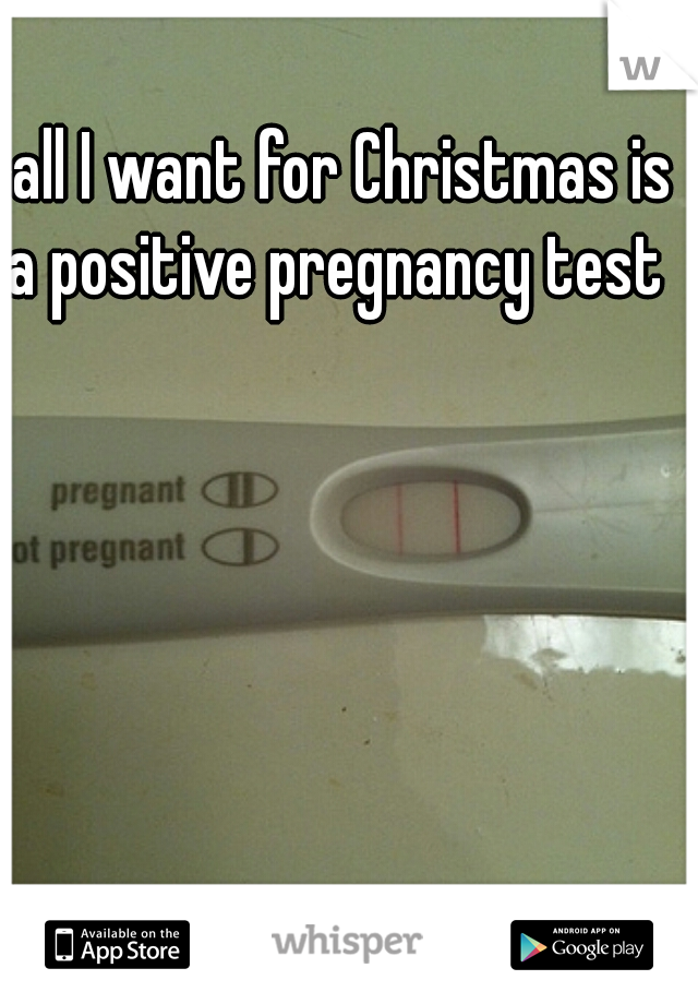 all I want for Christmas is a positive pregnancy test  