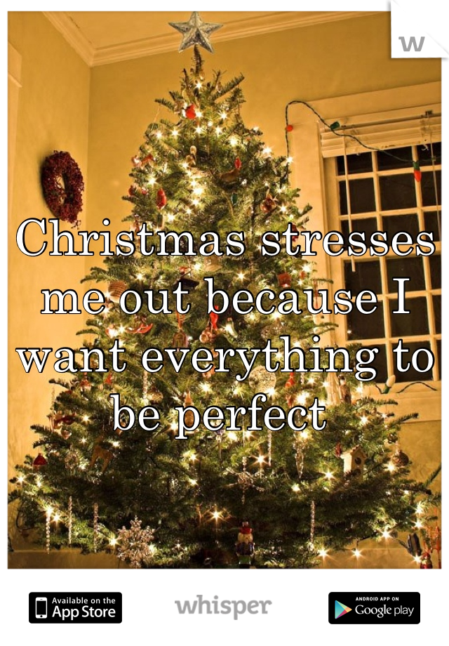Christmas stresses me out because I want everything to be perfect 