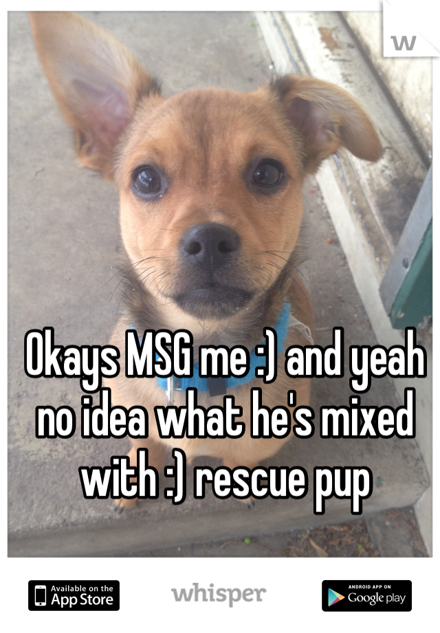 Okays MSG me :) and yeah no idea what he's mixed with :) rescue pup