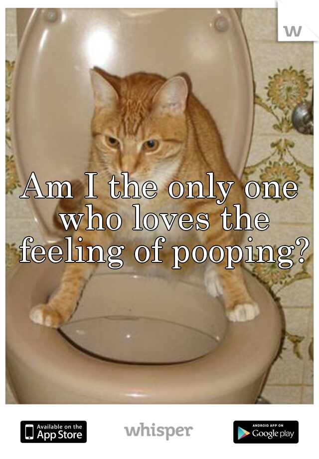 Am I the only one who loves the feeling of pooping?