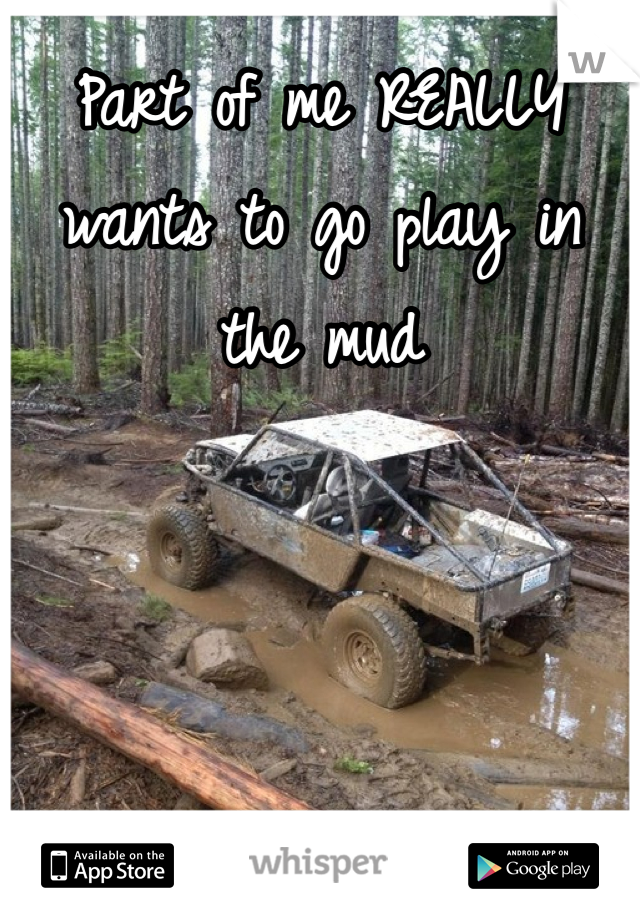Part of me REALLY wants to go play in the mud
