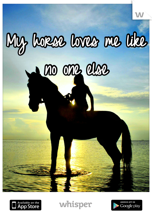 My horse loves me like no one else