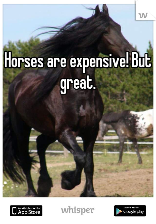 Horses are expensive! But great. 