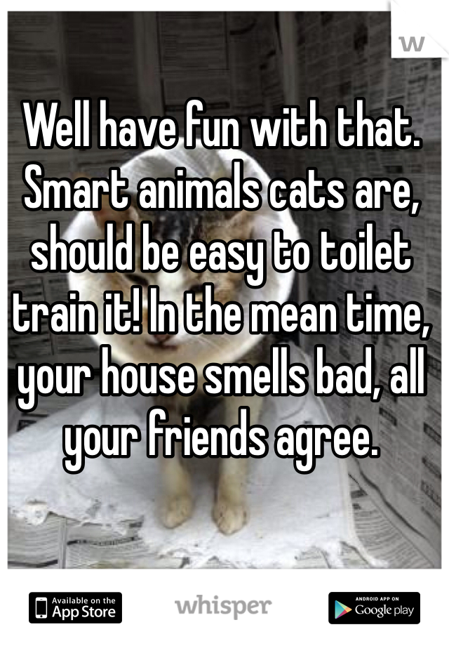 Well have fun with that. Smart animals cats are, should be easy to toilet train it! In the mean time, your house smells bad, all your friends agree.