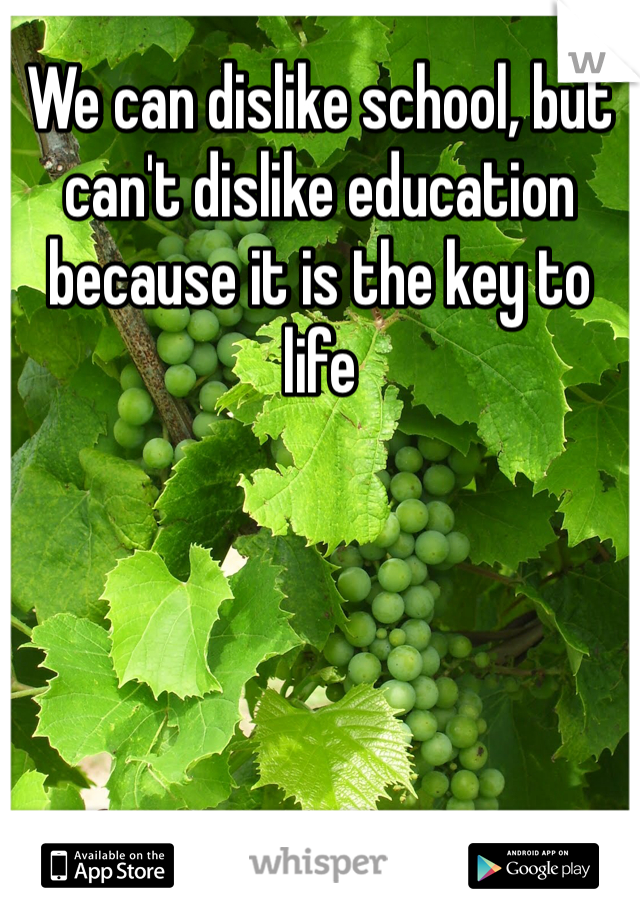 We can dislike school, but can't dislike education because it is the key to life