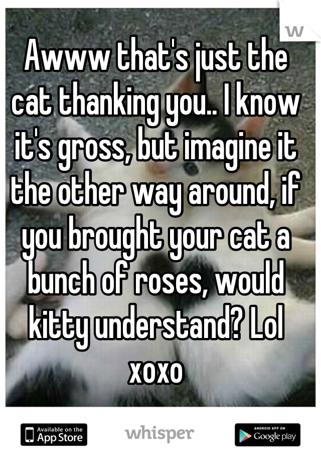 Awww that's just the cat thanking you.. I know it's gross, but imagine it the other way around, if you brought your cat a bunch of roses, would kitty understand? Lol xoxo