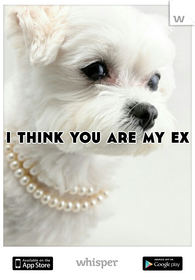 i think you are my ex