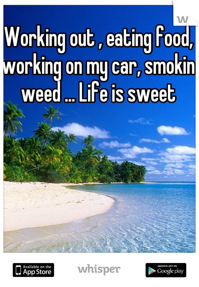 Working out , eating food, working on my car, smokin weed ... Life is sweet