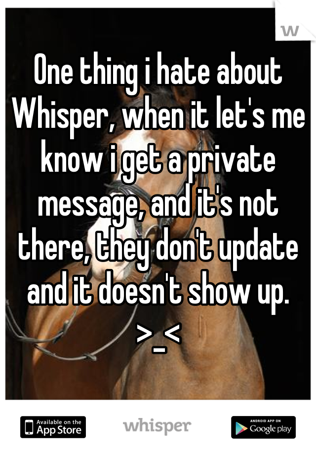 One thing i hate about Whisper, when it let's me know i get a private message, and it's not there, they don't update and it doesn't show up. >_<