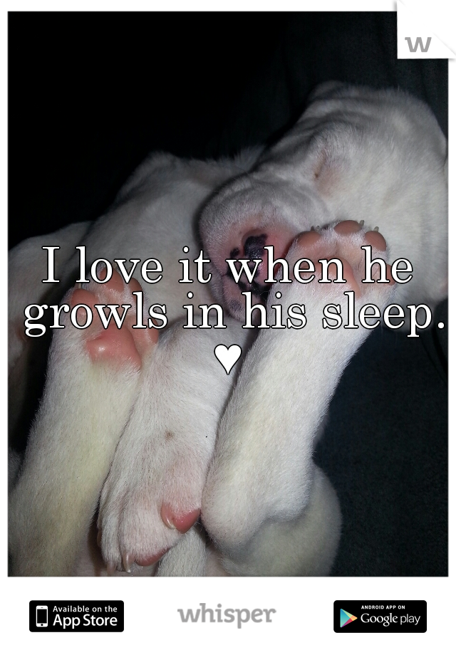 I love it when he growls in his sleep. ♥ 