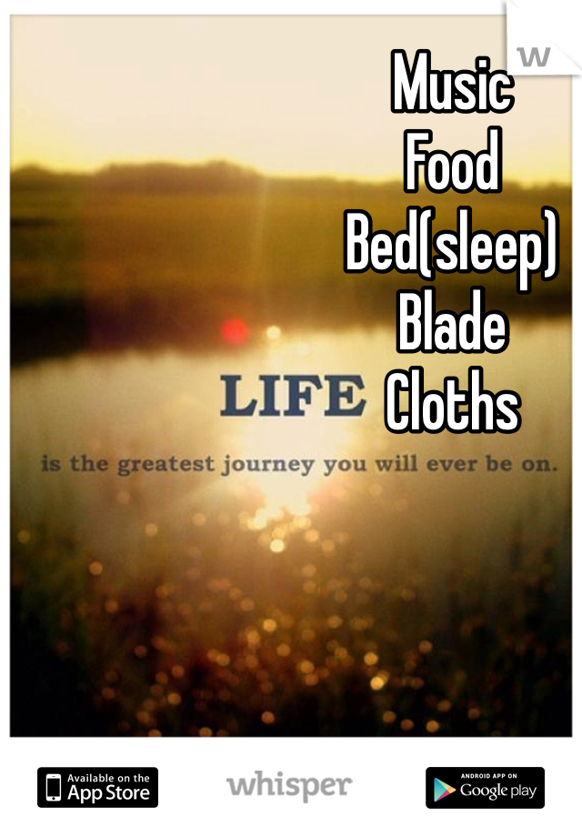 Music 
Food 
Bed(sleep)
Blade
Cloths