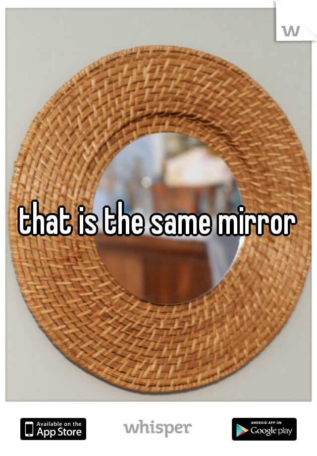 that is the same mirror