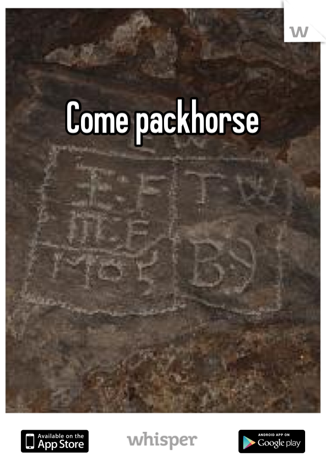 Come packhorse