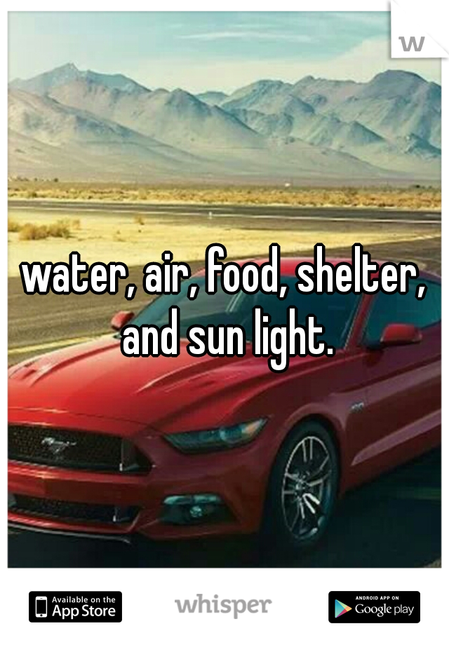 water, air, food, shelter, and sun light.