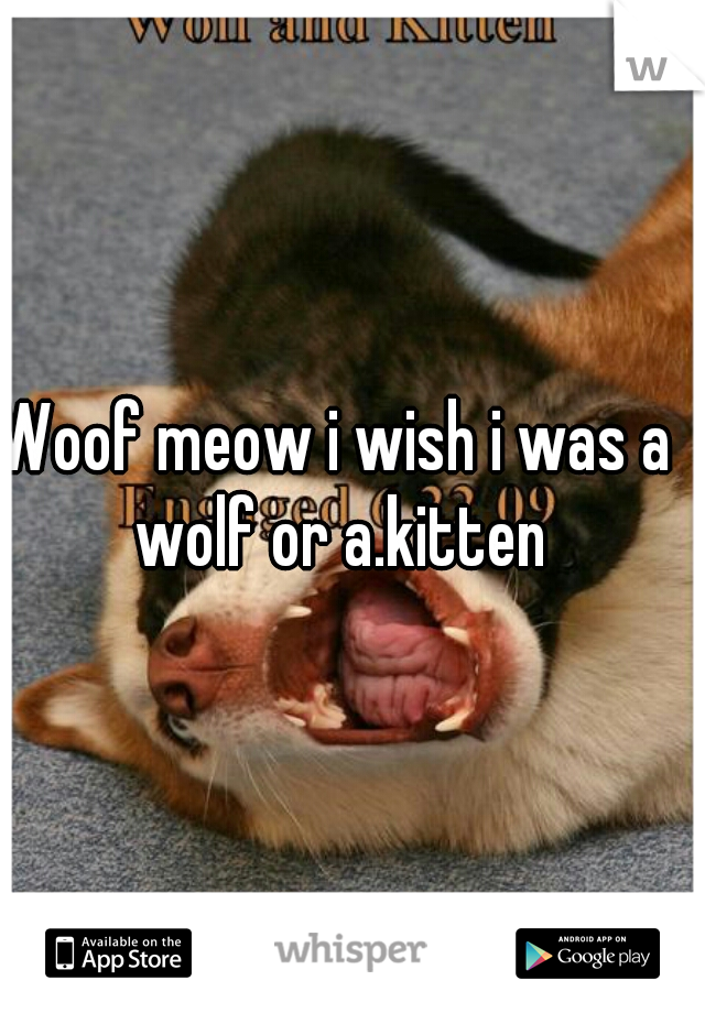 Woof meow i wish i was a wolf or a.kitten