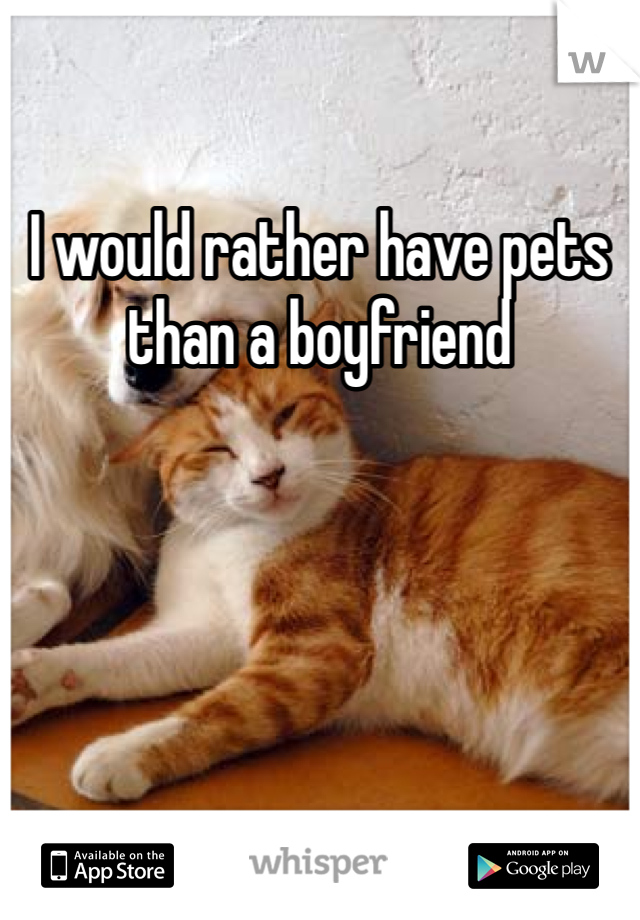 I would rather have pets than a boyfriend 