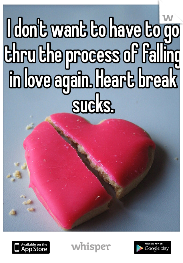 I don't want to have to go thru the process of falling in love again. Heart break sucks. 