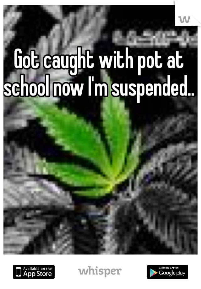 Got caught with pot at school now I'm suspended..