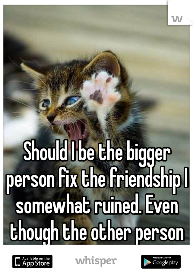 Should I be the bigger person fix the friendship I somewhat ruined. Even though the other person might not want to? 