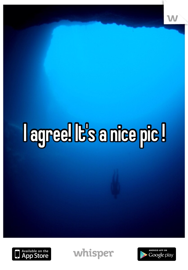 I agree! It's a nice pic !