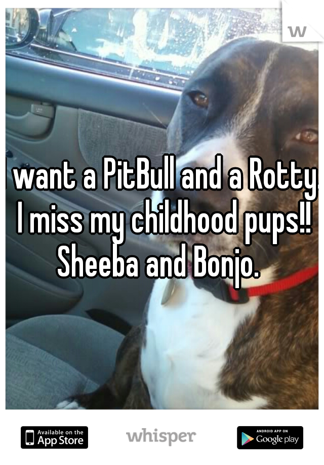 I want a PitBull and a Rotty. I miss my childhood pups!! Sheeba and Bonjo.  
