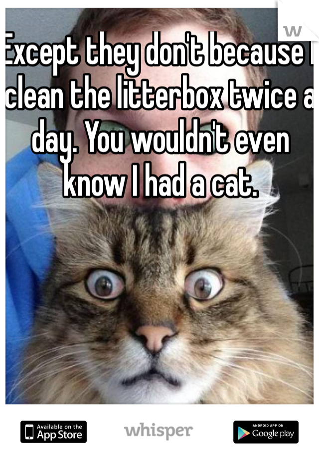 Except they don't because I clean the litterbox twice a day. You wouldn't even know I had a cat. 