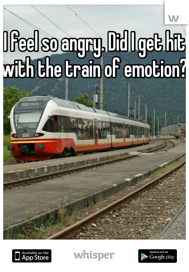 I feel so angry. Did I get hit with the train of emotion? 