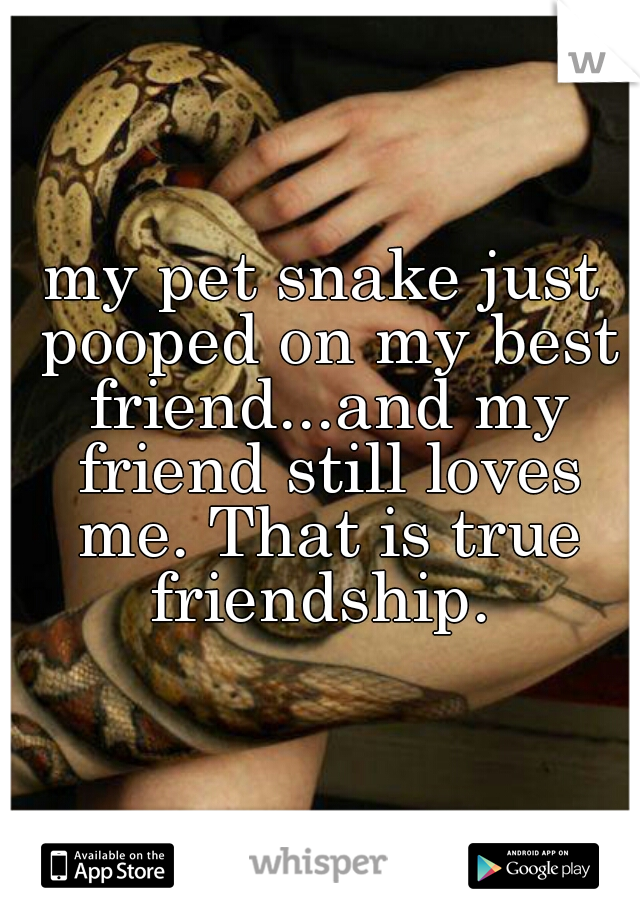 my pet snake just pooped on my best friend...and my friend still loves me. That is true friendship. 