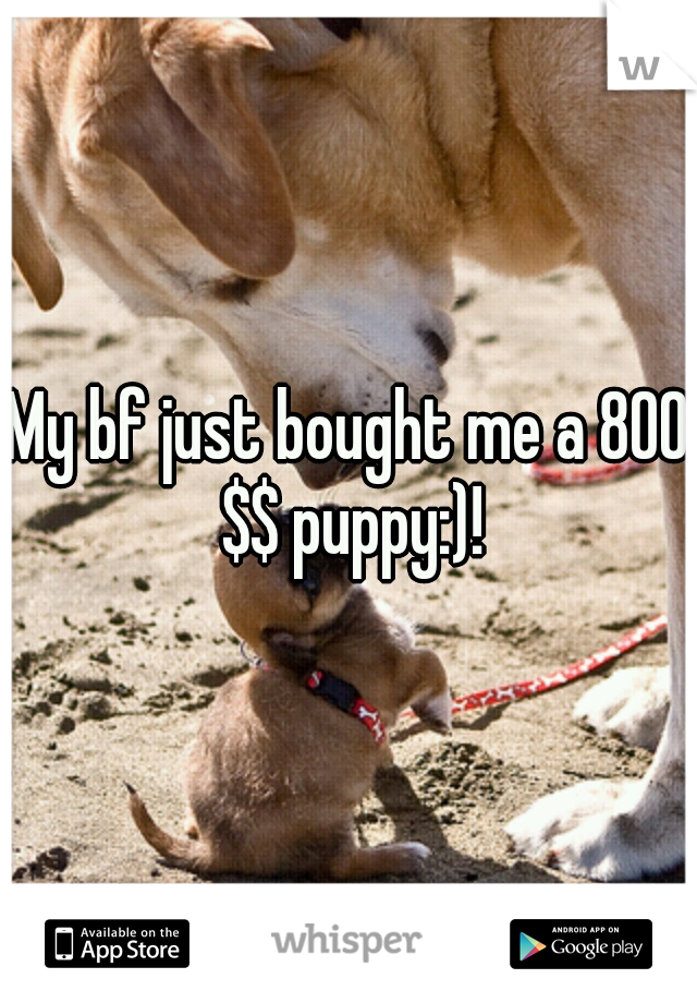 My bf just bought me a 800 $$ puppy:)!