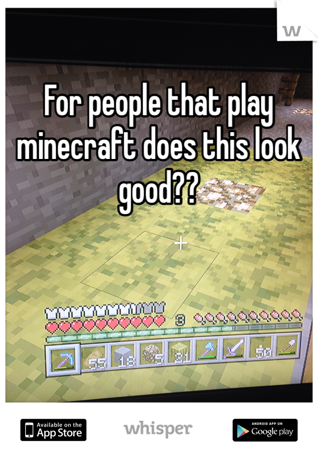 For people that play minecraft does this look good??
