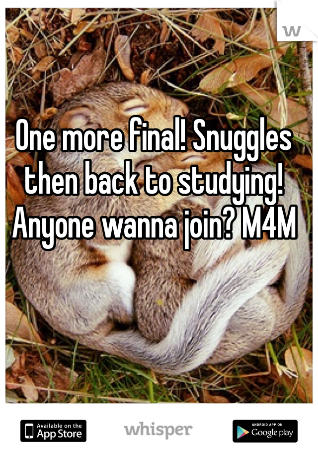 One more final! Snuggles then back to studying! Anyone wanna join? M4M 