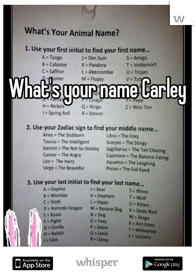 What's your name Carley 