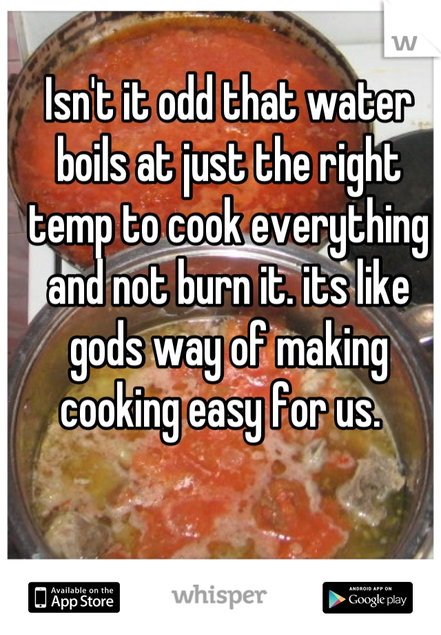 Isn't it odd that water boils at just the right temp to cook everything and not burn it. its like gods way of making cooking easy for us.  