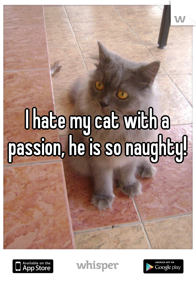 I hate my cat with a passion, he is so naughty! 