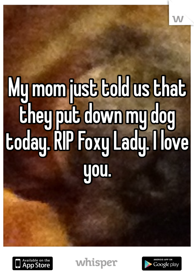 My mom just told us that they put down my dog today. RIP Foxy Lady. I love you.