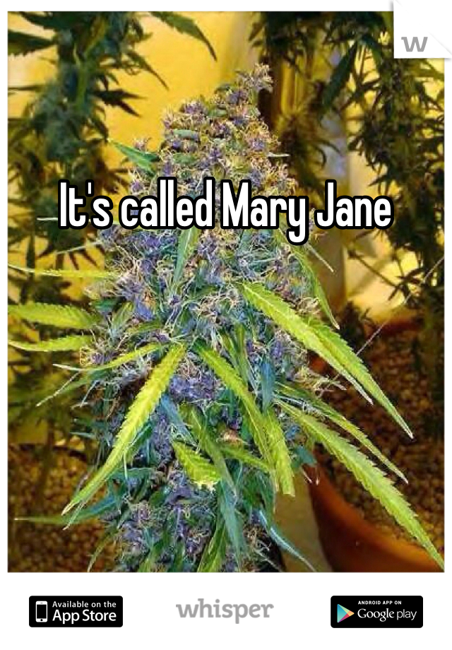It's called Mary Jane 